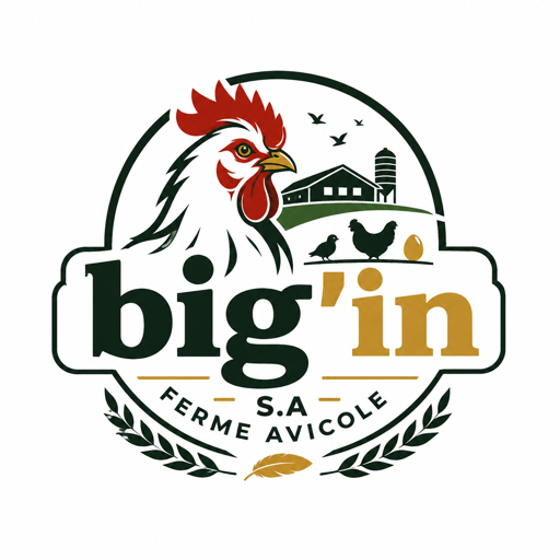 Logo Big'in S.A